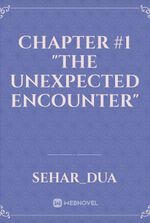 Chapter #1 "The unexpected Encounter"