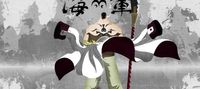 30 Years in Whitebeard’s Crew, I Became Invincible
