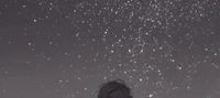 Drops