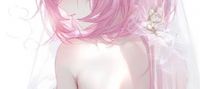 Honkai Impact 3rd: The first year of the ship