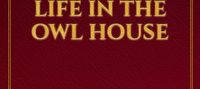 My unexpected life in the Owl House