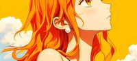 One Piece: The Navigator