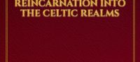 The Druid's Gamer Grimoire: Reincarnation into the Celtic Realms