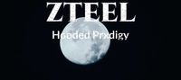 Zteel